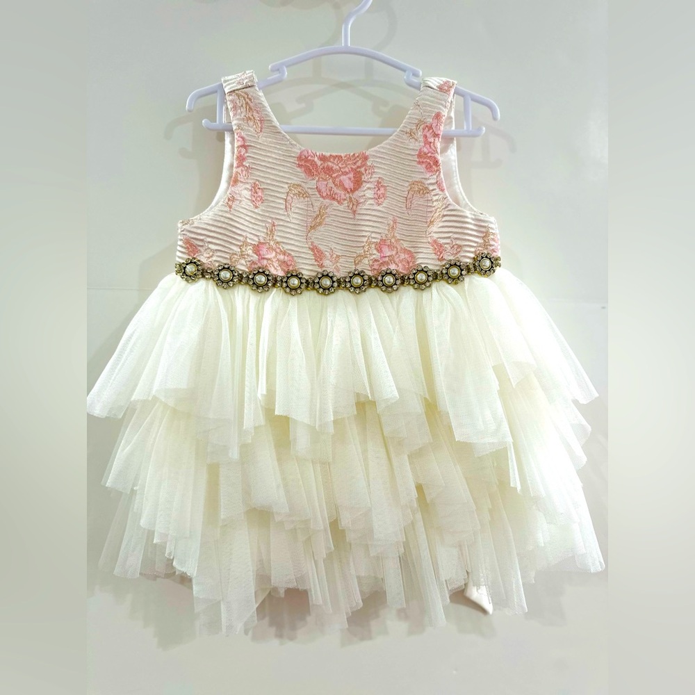 Gorgeous American Princess Dress size 18M - Perfect Dress For Easter